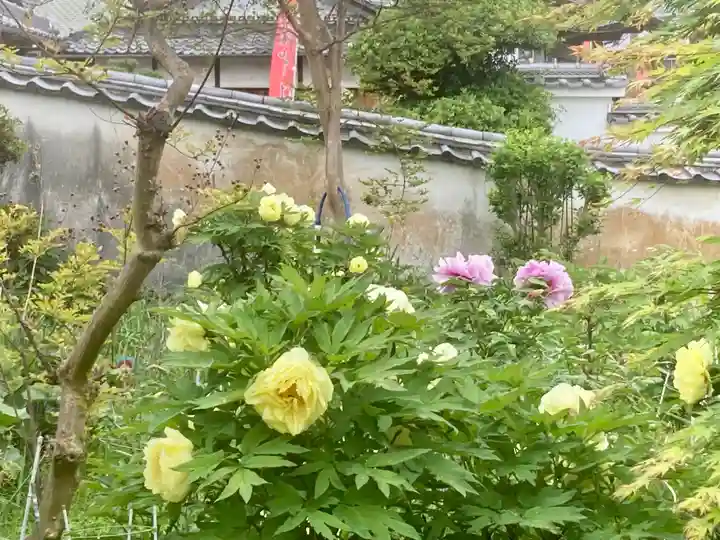 善名称院(真田庵)(和歌山県)