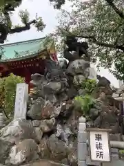 神田神社（神田明神）の狛犬