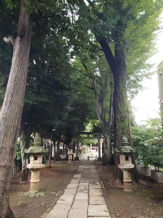 荻窪白山神社(東京都)