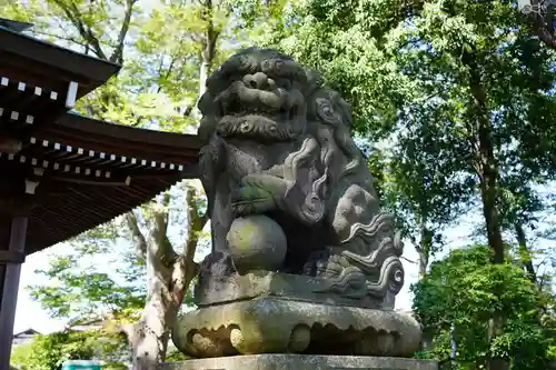 熊野福藏神社の狛犬