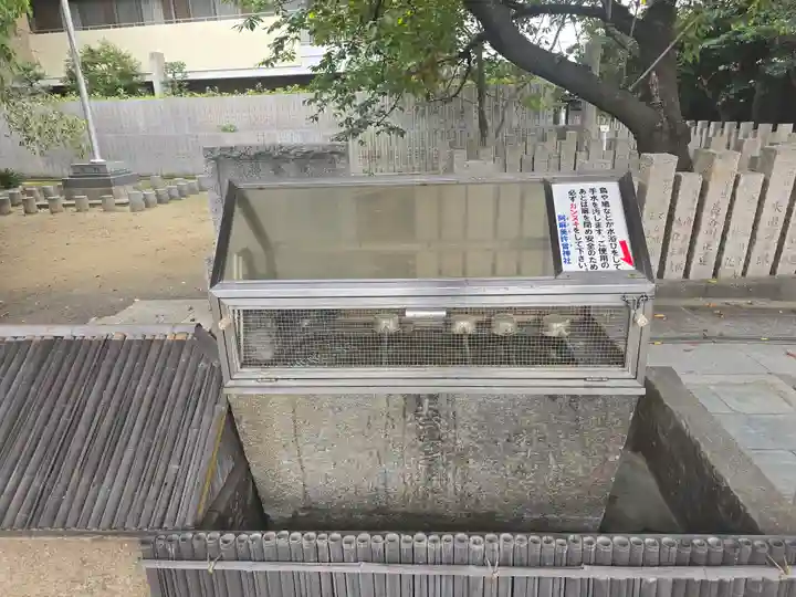阿麻美許曽神社(大阪府)