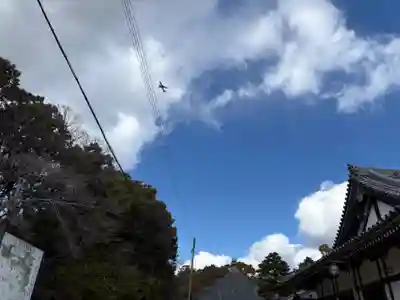 昆陽寺(兵庫県)