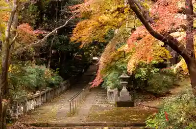 柞原八幡宮(大分県)