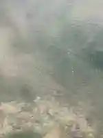 甘南美寺茶所・ハリヨ公園(岐阜県)