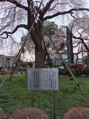 東郷寺(東京都)