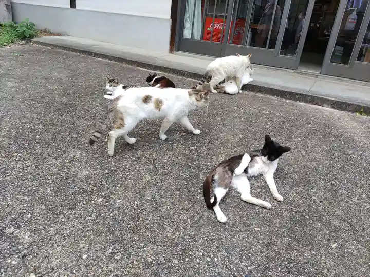 浄瑠璃寺(京都府)