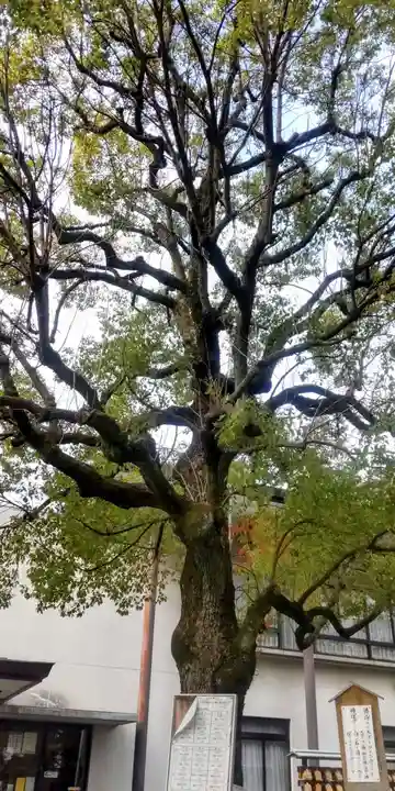 亀戸 香取神社(東京都)