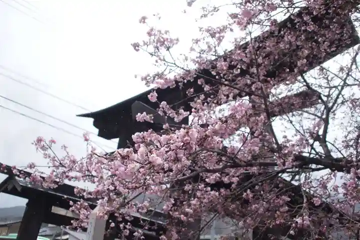 武田八幡宮(山梨県)
