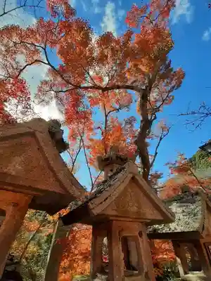 朝護孫子寺(奈良県)