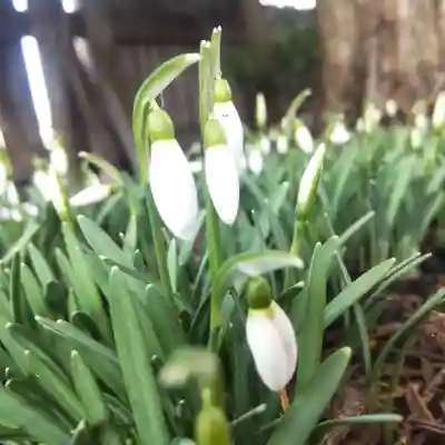 七重浜海津見神社(北海道)