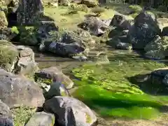 朝倉神社の庭園