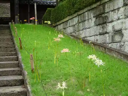 横浜　西方寺の自然
