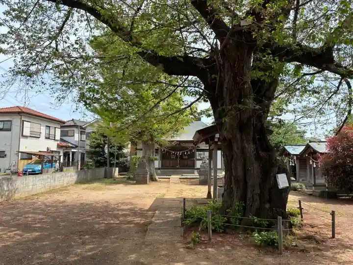 白山神社(千葉県)