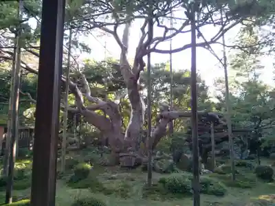 宝泉院のその他建物