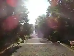 上川神社の建物その他