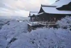 清水寺の建物その他