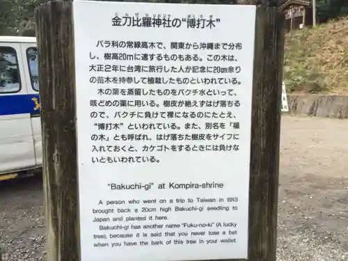 金刀比羅神社(佐賀県)