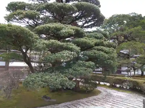 慈照寺（慈照禅寺・銀閣寺）(京都府)