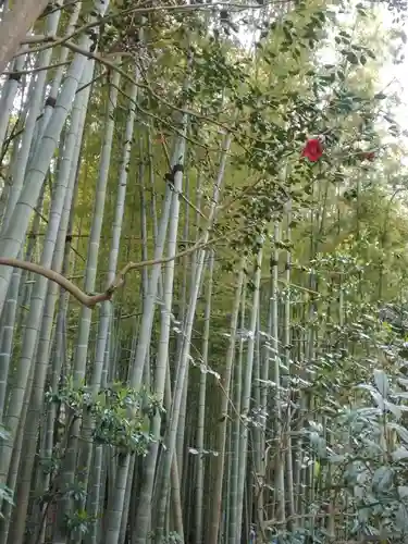 報国寺(神奈川県)