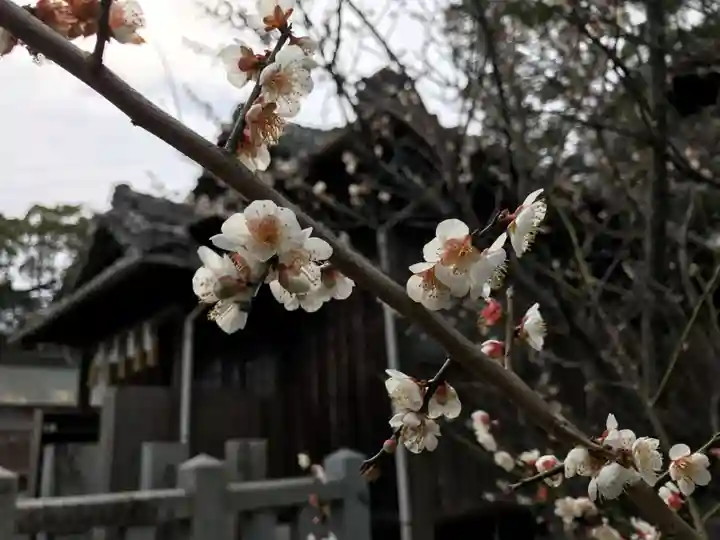 宇原神社(福岡県)