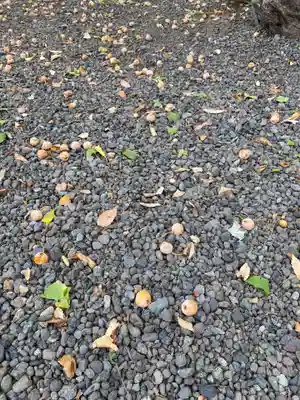 髙部屋神社(神奈川県)