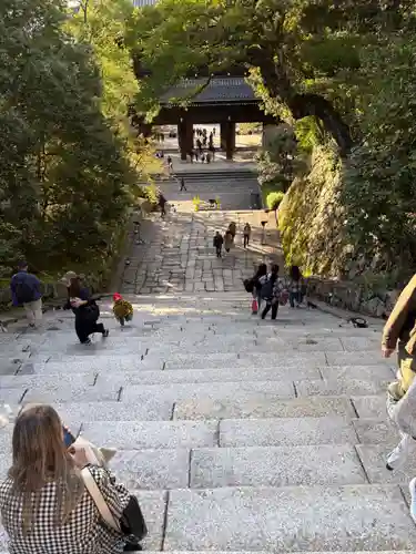 知恩院(京都府)