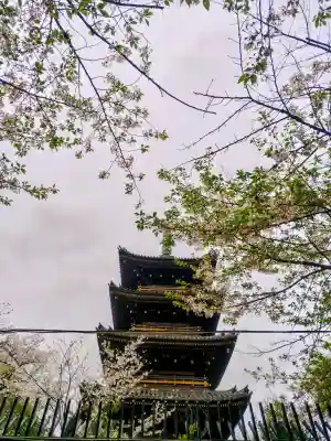 上野東照宮の{uncategorized: "未分類", other: "その他", undefined: "問題あり", building: "その他建物", grave: "お墓", sacred_gate: "鳥居", guardian: "狛犬", statue: "像", buddha: "仏像", history: "歴史", nature: "自然", garden: "庭園", animal: "動物", pagoda: "塔", temizu: "手水舎", mountain_gate: "山門・神門", sanctuary: "本殿・本堂", subordinate: "末社・摂社", art: "芸術", scenery: "景色", jizo: "地蔵", ema: "絵馬", goshuin: "御朱印", omikuji: "おみくじ", items: "授与品その他", amulet: "お守り", goshuincho: "御朱印帳", eats: "食事", festival: "お祭り", votive_dance: "神楽", shichigosan: "七五三参", wedding: "結婚式", experience: "体験その他", initially: "初詣", around: "周辺", anti_infection: "感染症対策"}