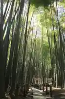 報国寺(神奈川県)