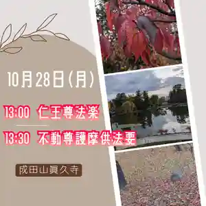 眞久寺の体験その他 2024年10月28日(月)〜(2024年10月26日(土) 07時50分32秒投稿)