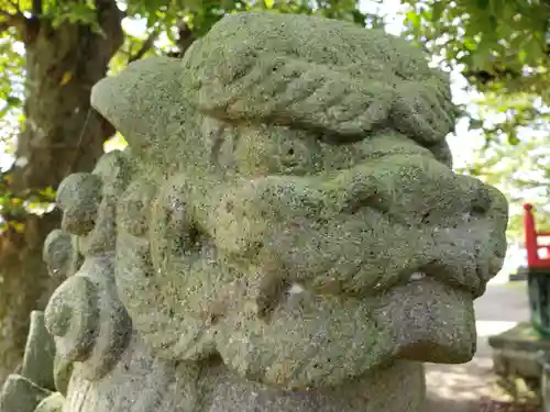 白山神社の狛犬