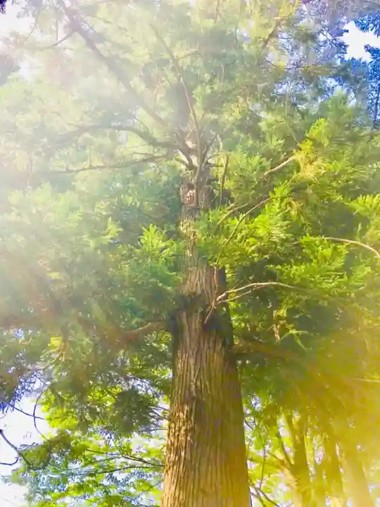 火皇子神社(千葉県)