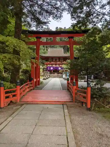 丹生都比売神社の鳥居