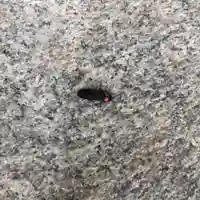 公智神社(兵庫県)