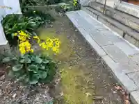 淨宗寺(滋賀県)