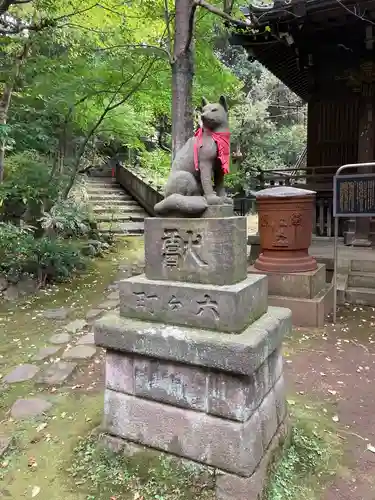 赤坂氷川神社の狛犬