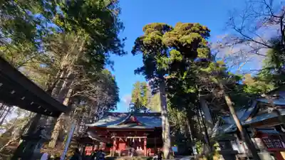 富士山東口本宮 冨士浅間神社の本殿・本堂