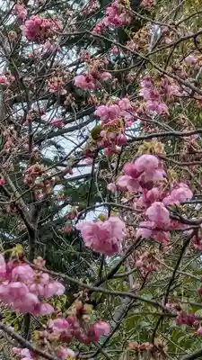 熊野若王子神社(京都府)