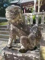 宮道天神社の狛犬