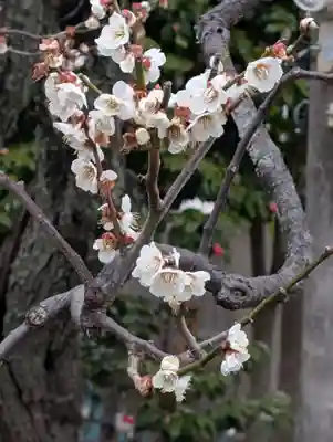慶珊寺(神奈川県)
