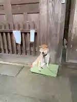 長谷寺(奈良県)