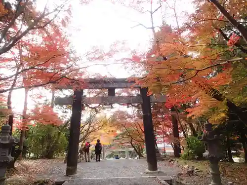 大原野神社の鳥居