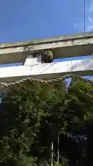 三所神社の鳥居