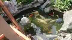 尾張猿田彦神社の庭園