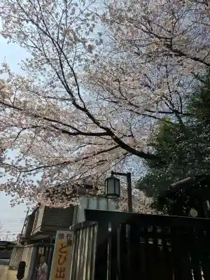 櫻木神社(千葉県)