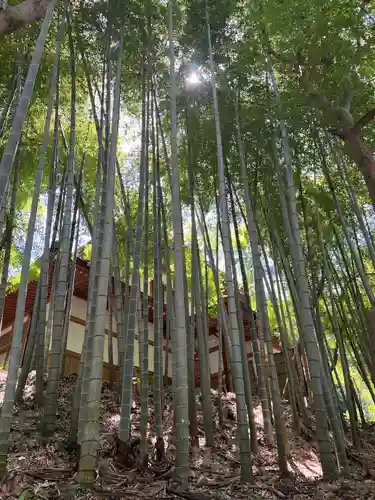 円覚寺(神奈川県)
