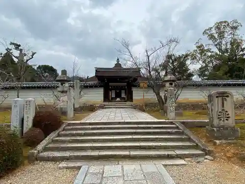 仁和寺の山門