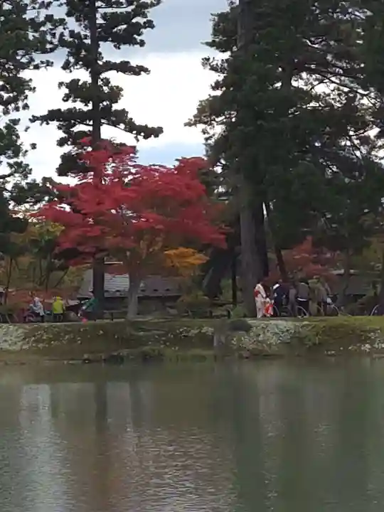 毛越寺の御朱印