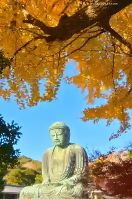 高徳院(神奈川県)