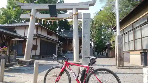 日枝神社の鳥居