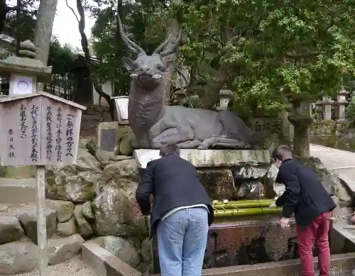春日大社の手水舎